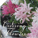 ordering flowers