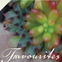 favorites